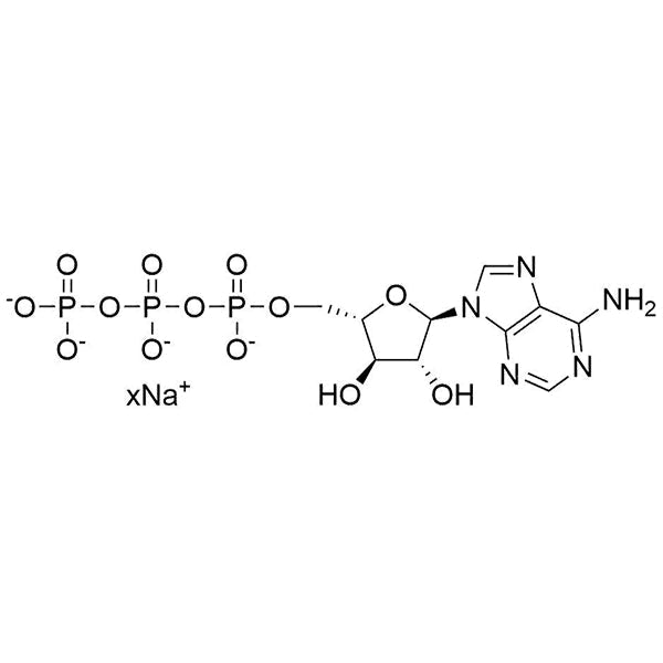 9-alpha-L-Arabinofuranosyladenine-5'-triphosphate, 100mM Na salt solution