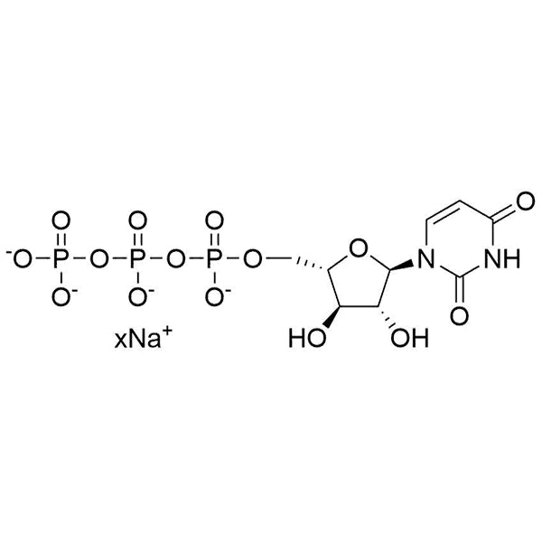 1-alpha-L-Arabinofuranosyluracil-5'-triphosphate, 100mM Na salt solution