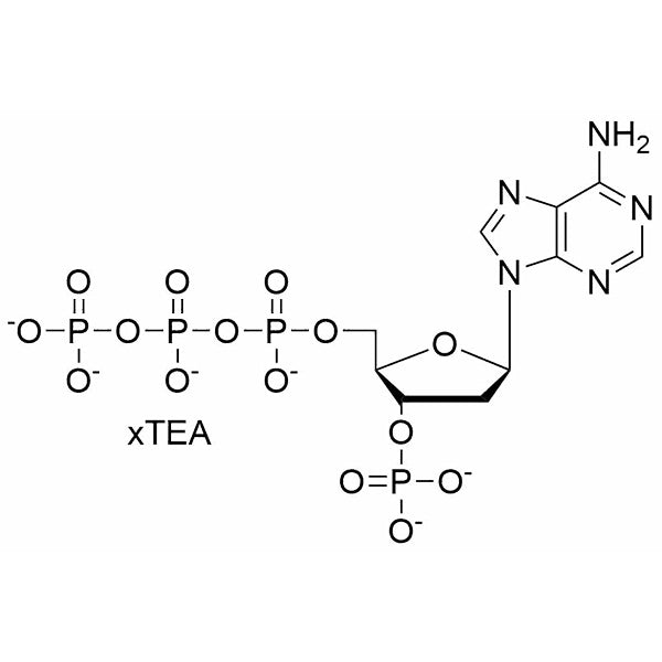 3'-MP-5'-dATP, 10 mM TEA salt solution