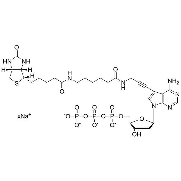 Biotin-11-(7-aminopropargyl)-7-deaza-dATP, 20mM Sodium Salt Solution