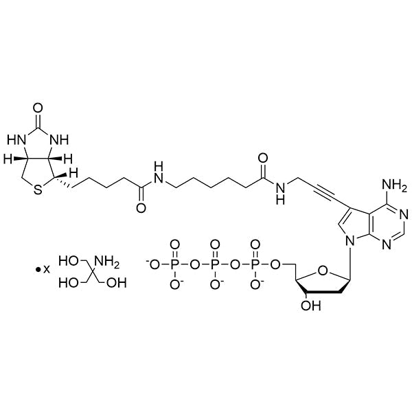 Biotin-11-(7-aminopropargyl)-7-deaza-dATP, 20mM Tris Salt Solution