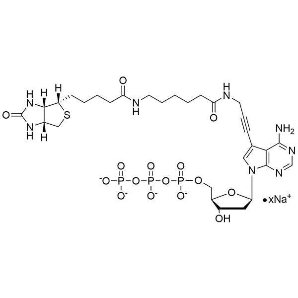 Biotin-11-(7-aminopropargyl)-7-deaza-dATP, 20 mM Sodium Salt Solution