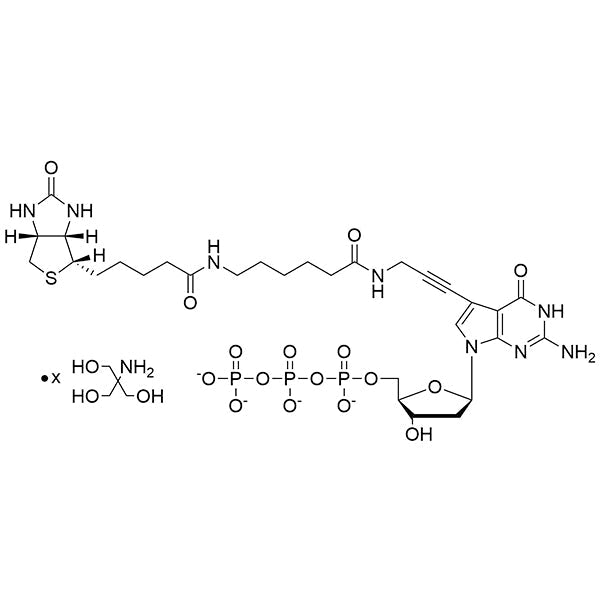 Biotin-11-(7-aminopropargyl)-7-deaza-dGTP, 20mM Tris Salt Solution
