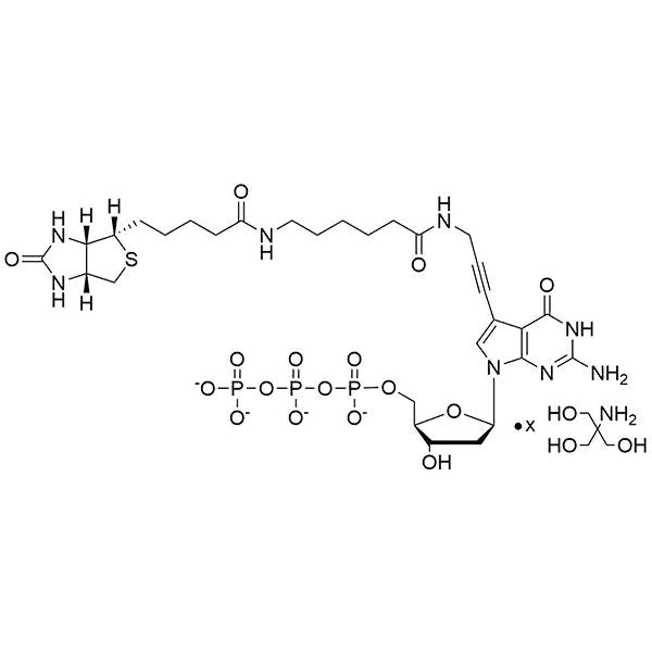 Biotin-11-(7-aminopropargyl)-7-deaza-dGTP, 20 mM Tris Salt Solution