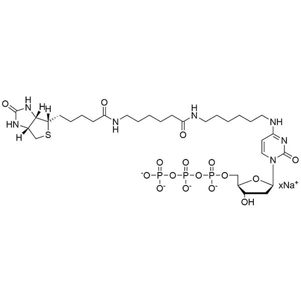 Biotin-14-N4-(6-Aminohexyl)-dCTP, 200 mM Sodium Salt Solution