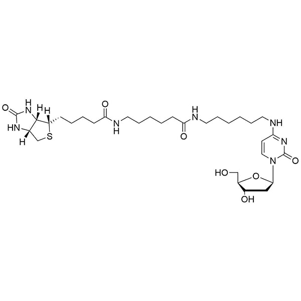 Biotin-14-N4-(6-Aminohexyl)-dC