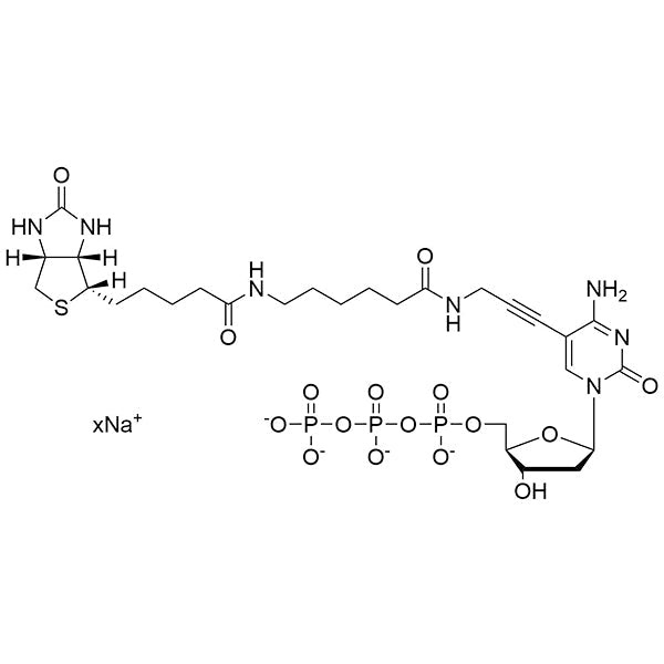Biotin-11-(5-aminopropargyl)-dCTP, 20mM Sodium Salt Solution