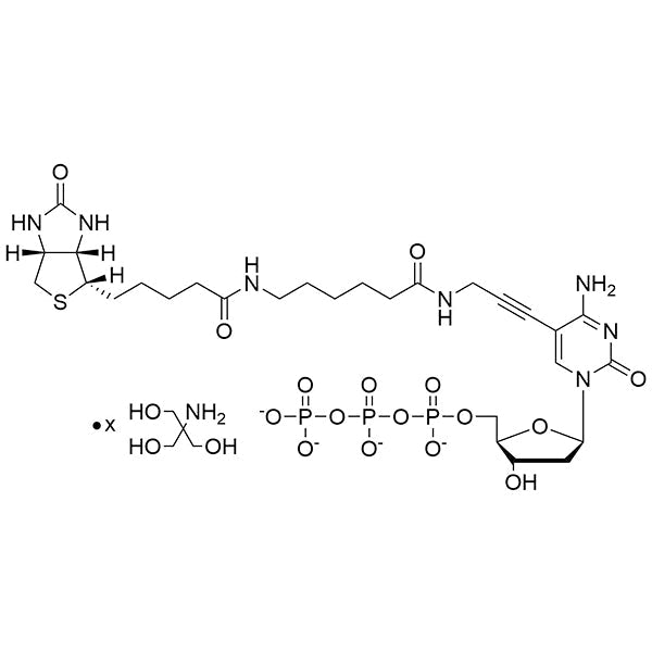 Biotin-11-(5-aminopropargyl)-dCTP, 20mM Tris Salt Solution