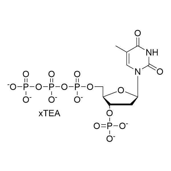 3'-MP-5'-dTTP, 10 mM TEA salt solution