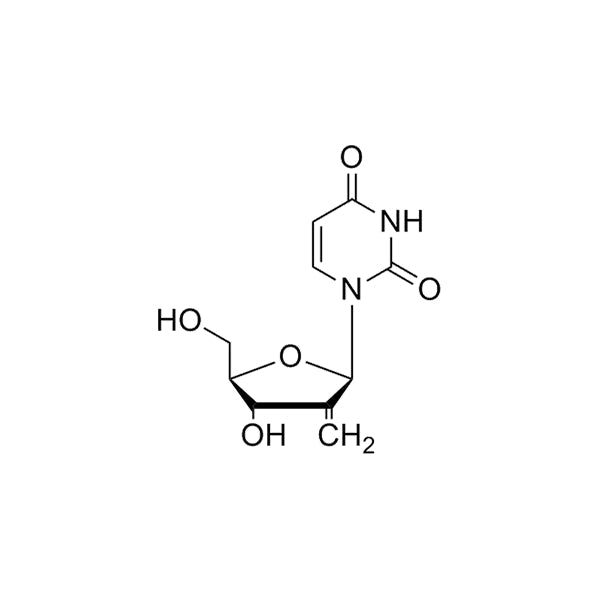 2'-methylene-dU
