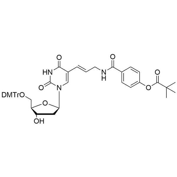 DMT-phenol-AA-dU