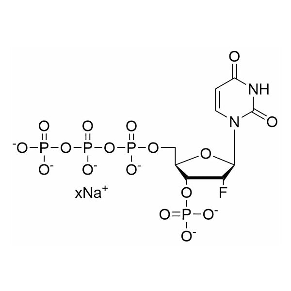 2'-F-3'-MP-5'-dUTP, 100 mM sodium salt solution