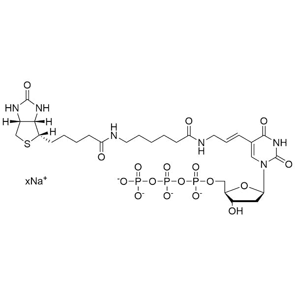 Biotin-11-(5-aminoallyl)-dUTP, 20mM Sodium Salt Solution