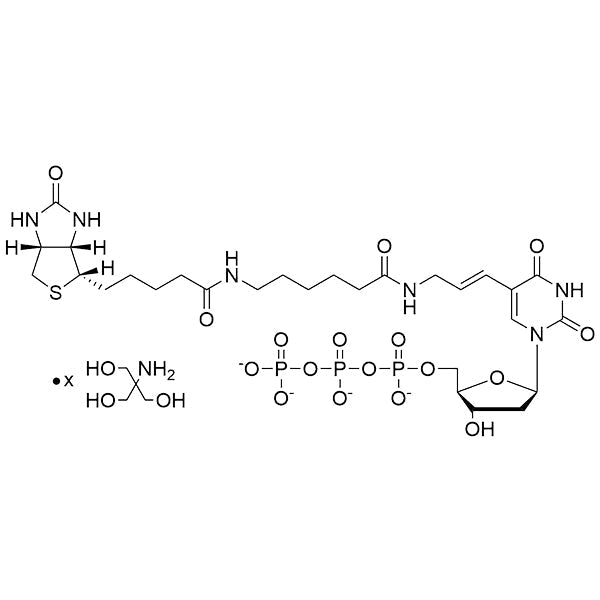 Biotin-11-(5-aminoallyl)-dUTP, 20mM Tris Salt Solution