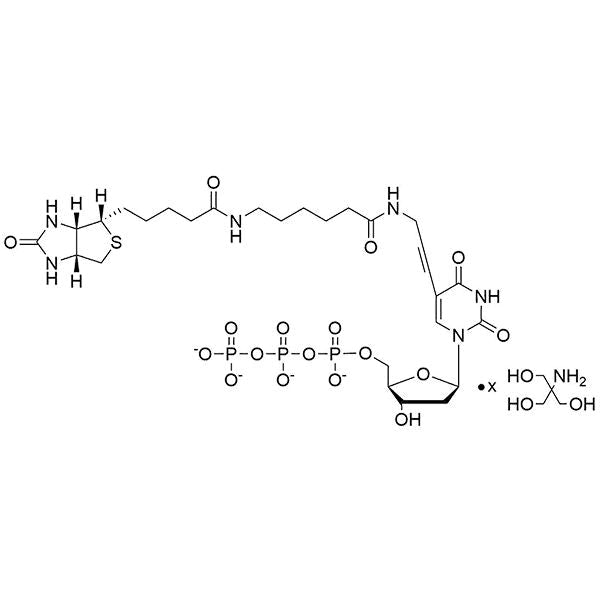 Biotin-11-(5-aminoallyl)-dUTP, 20 mM Tris Salt Solution