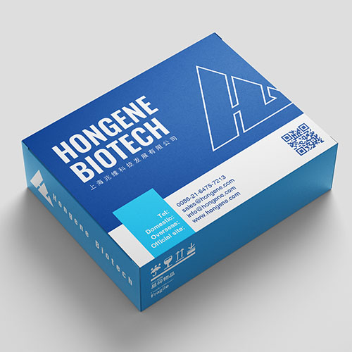 High Yield T7 RNA Synthesis Kit