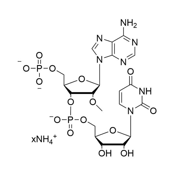 pA(2'-OMe)mpU•NH4 salt