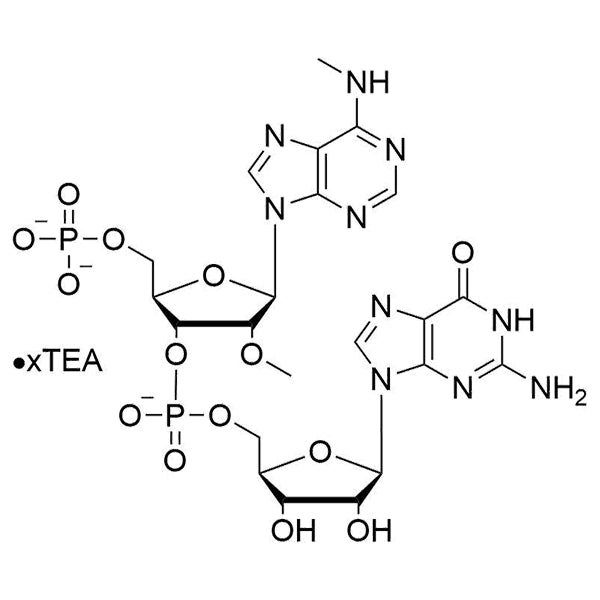 pA(N6-Me-2'-OMe)mpG•100 mM TEA salt solution