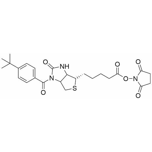 t-butylbenzoyl biotin-NHS ester
