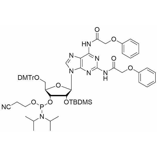 5'-O-DMTr-2'-O-TBDMS-2, 6-diPAC-Diaminopurine-3'-CE-Phosphoramidite