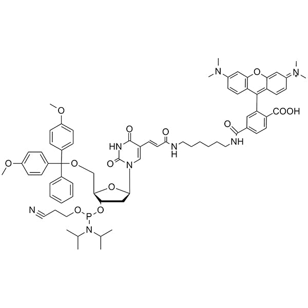 TAMRA-dT Phosphoramidite