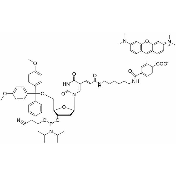 TAMRA-dT Phosphoramidite