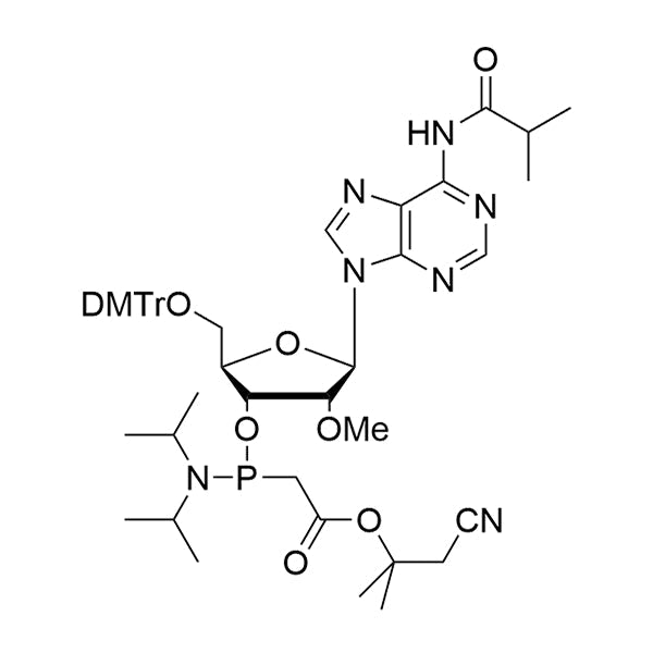 5'-O-DMTr-2'-O-Me-A(iBu) PACE