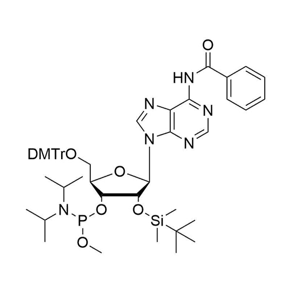 5'-O-DMTr-2'-O-TBDMS-A(Bz)-3'-Methoxy-phosphoramidite