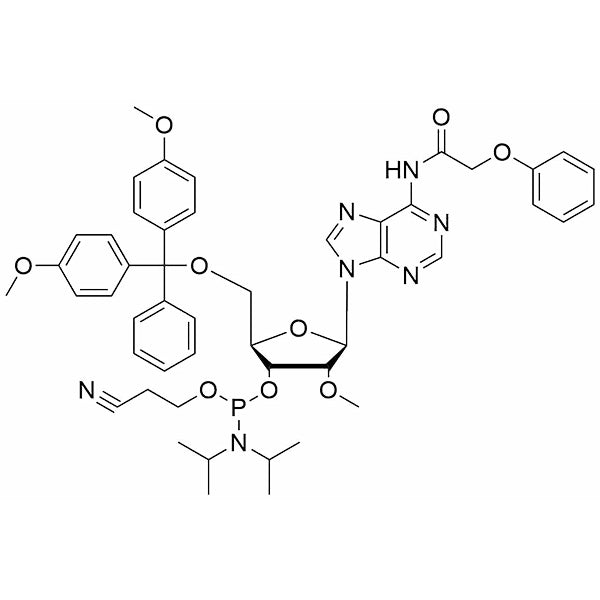 5'-ODMTr-2'-OMe-A(Pac)-3'-CE-phosphoramidite