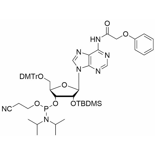 5'-O-DMTr-2'-O-TBDMS-A(Pac)-3'-CE-Phosphoramidite