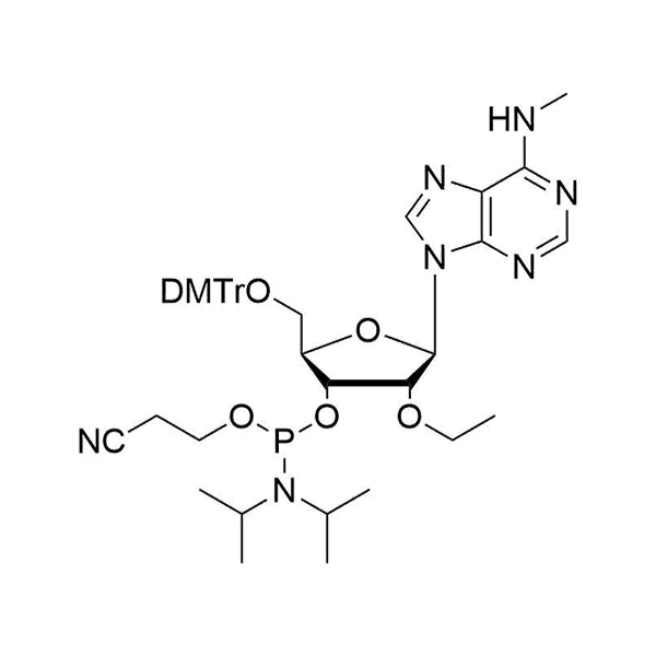 N6-Me-5'-O-DMT-2'-O-Ethyl-A-3'-CE-Phosphoramidate