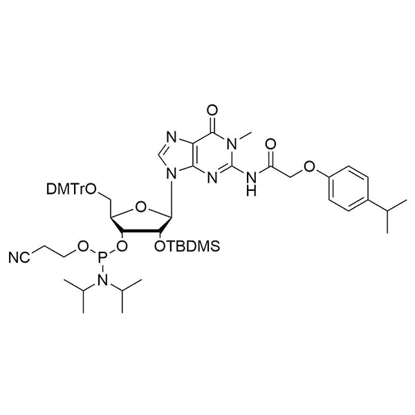 N1-Me-5'-O-DMTr-2'-O-TBDMS-G(iPr-pac)-3'-CE-Phosphoramidite