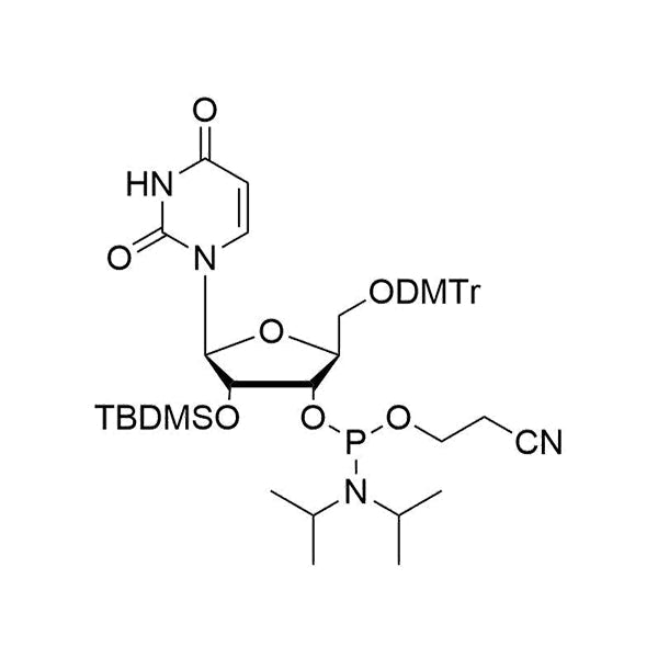 5'-O-DMTr-2'-O-TBDMS-L-U-3'-CE-Phosphoramidite