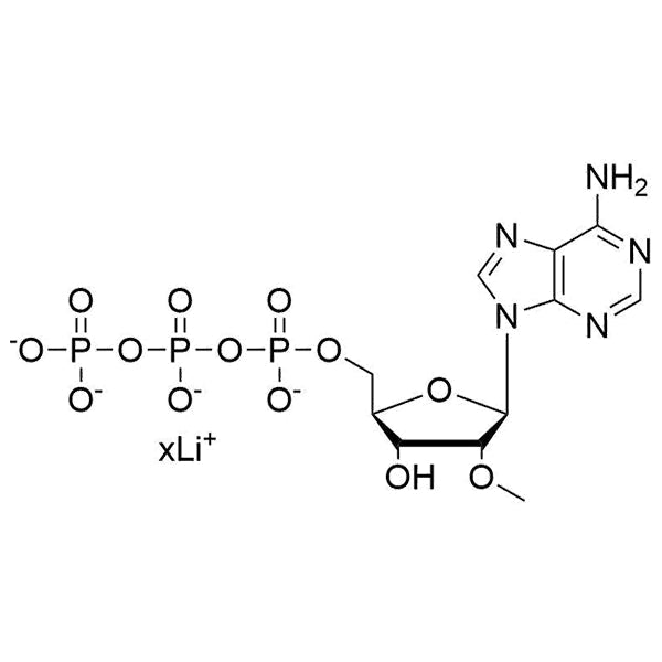 2'-O-Me-ATP, 100mM Lithium Salt Solution