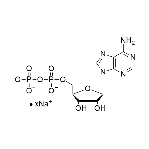ADP, 100mM sodium salt solution