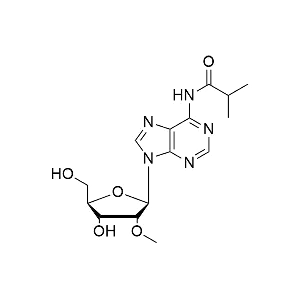 N6-iBu-2'-OMe-Ar