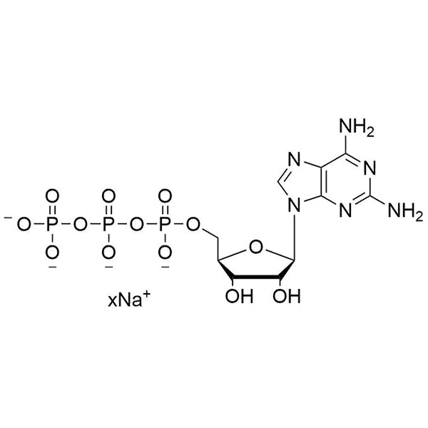 2-NH2-ATP, 100 mM Sodium Salt Solution