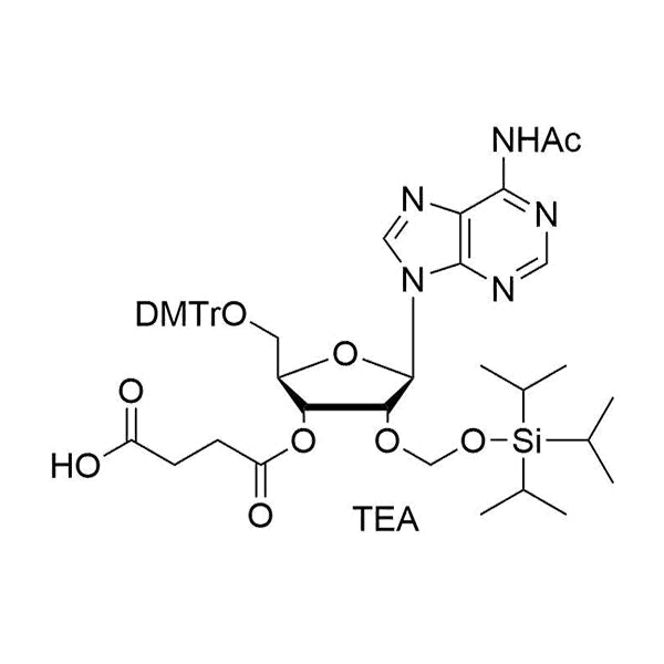 5'-O-DMTr-2'-O-TOM-A(Ac) succinate
