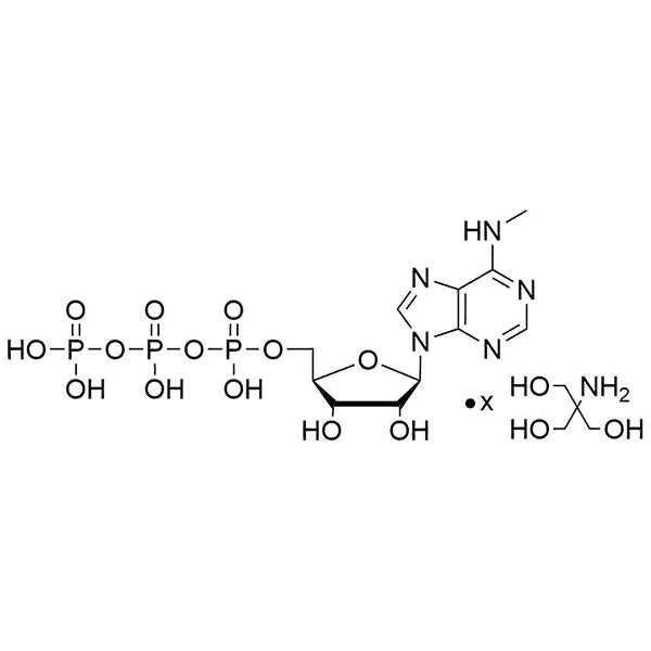 N6-Me-ATP, 200mM Tris Salt Solution