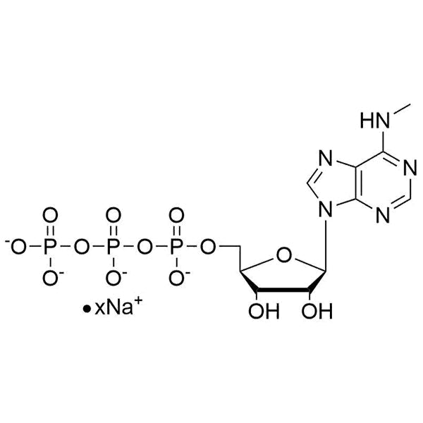 N6-Me-ATP, 100 mM Sodium Salt Solution