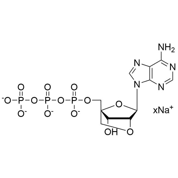 2'-O-4'-C-Locked-ATP, 100mM sodium salt solution