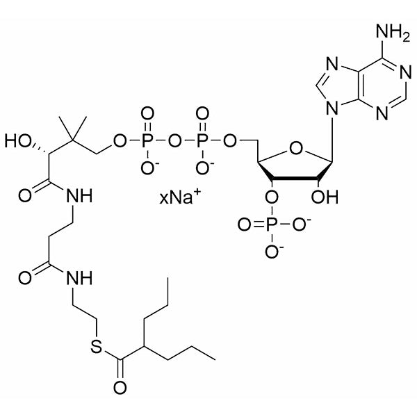 Valproyl-CoA, sodium salt