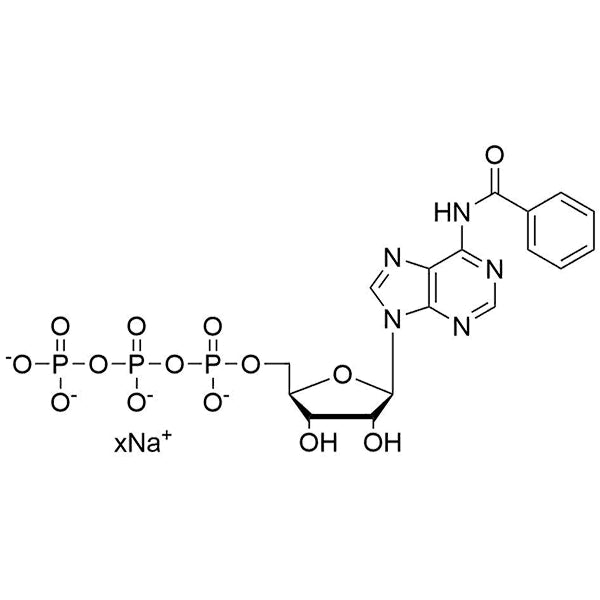 N6-Bz-ATP, 100mM sodium salt solution