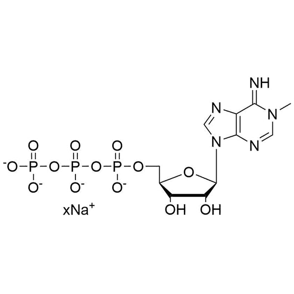 N1-Me-ATP, 100mM sodium salt solution