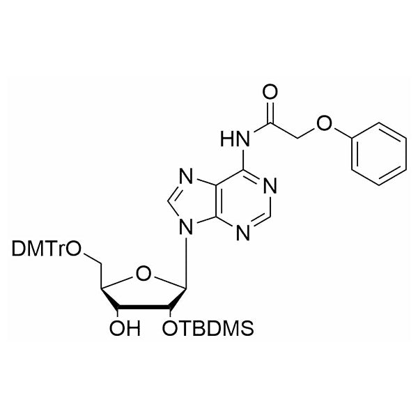 5'-O-DMTr-2'-O-TBDMS-A(Pac)