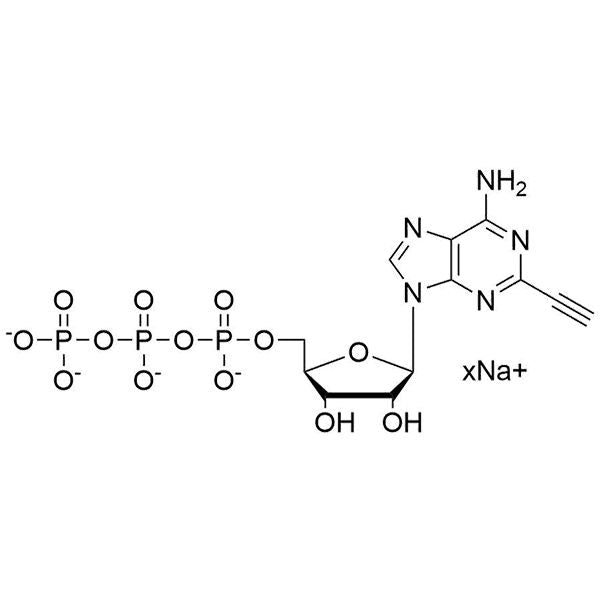 2-Ethynyl-ATP, 100mM Sodium Salt Solution