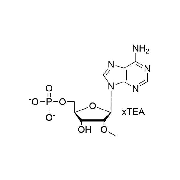 2'-OMe AMP, TEA salt