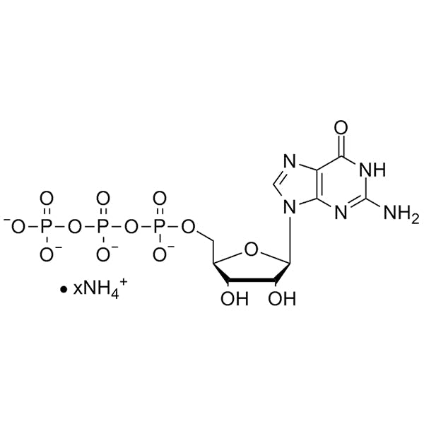GTP 100mM Ammonium Salt Solution