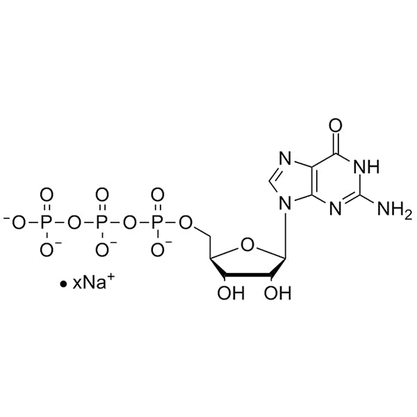 GTP, 200mM sodium salt solution