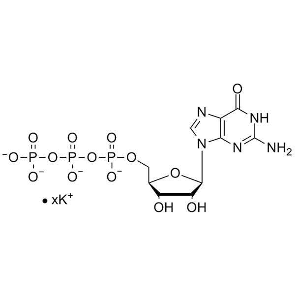 GTP, 200mM Potassium Salt Solution